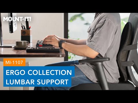 Ergo Collection Lumbar Support