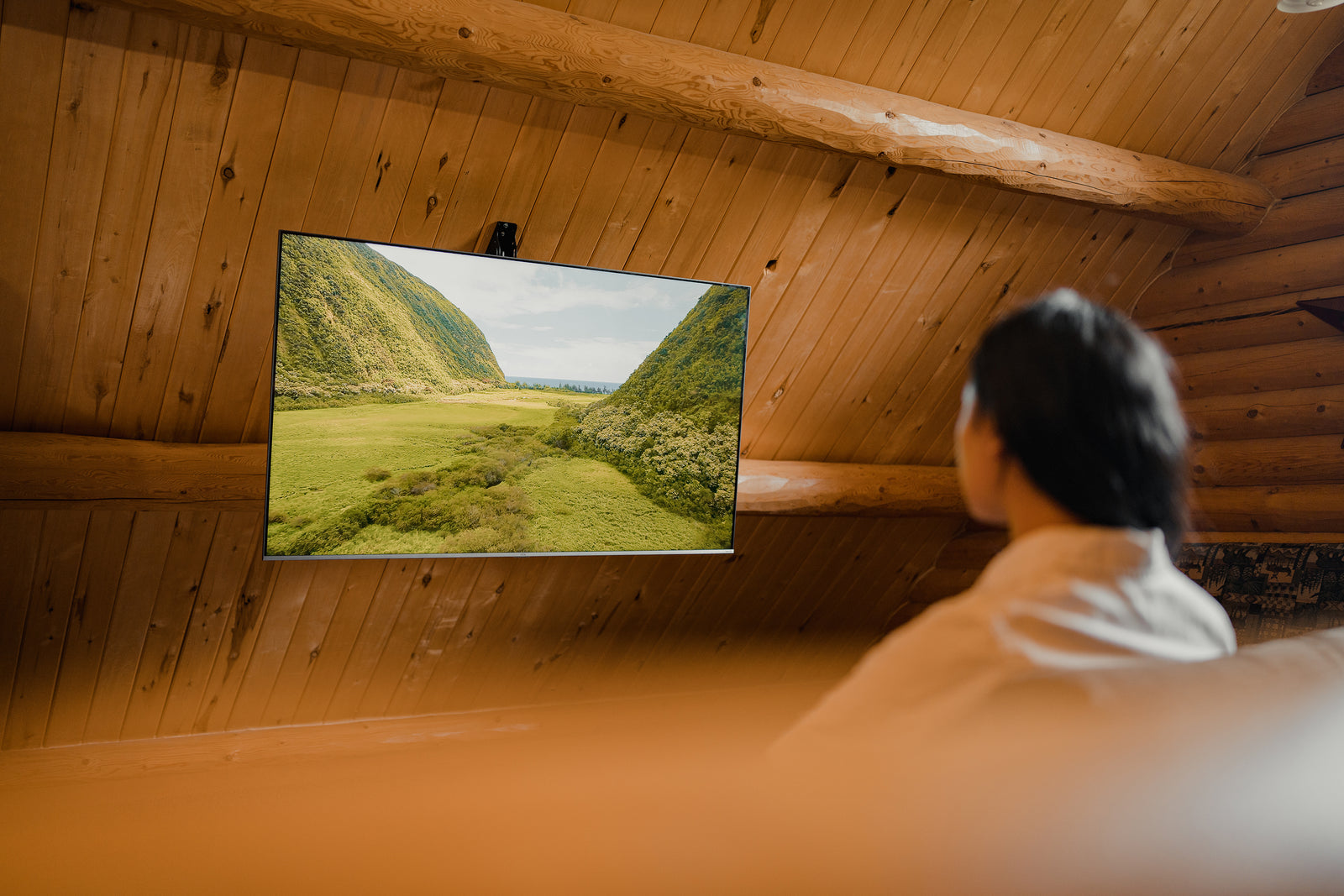 hanging ceiling mount in cabin