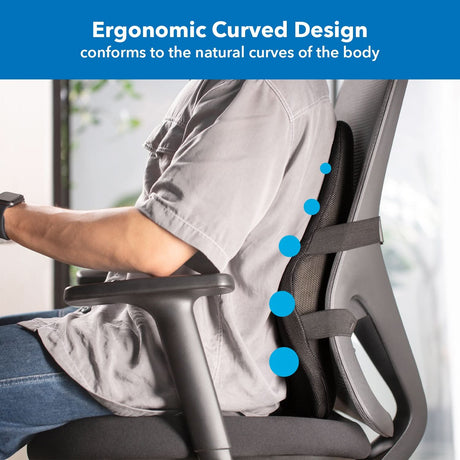 Ergo Collection Lumbar Support