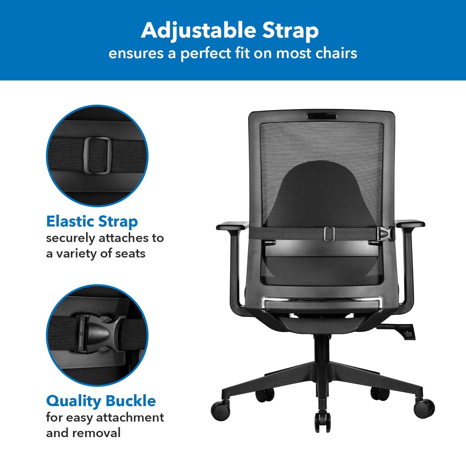 Ergo Collection Curved Back Support