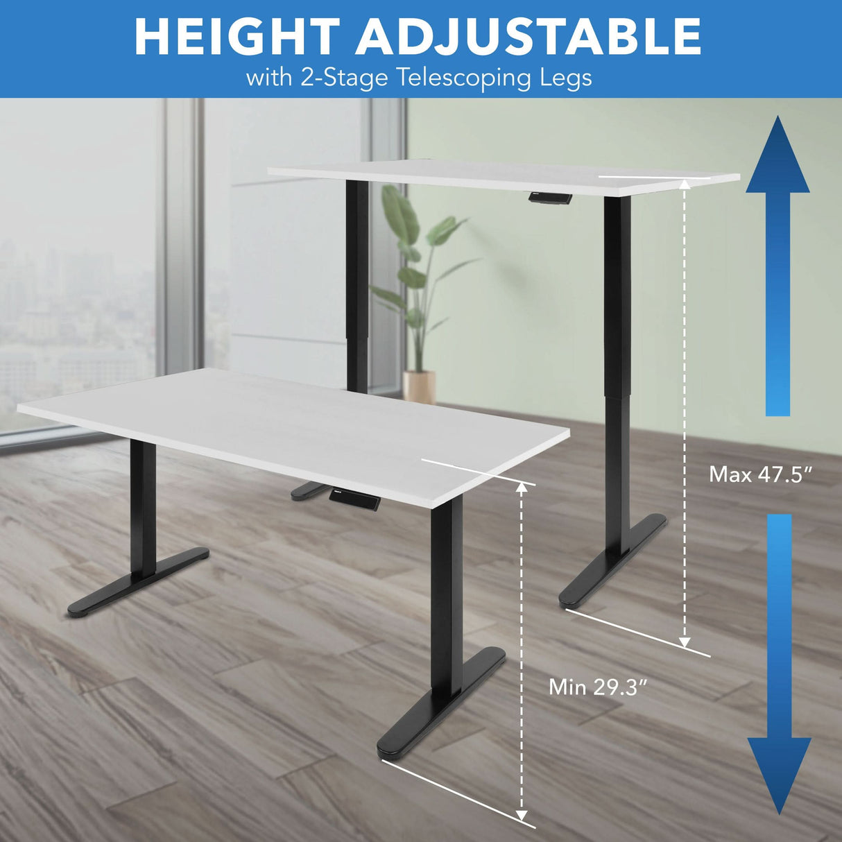 Electric Standing Desk with 55" Tabletop - Black Base