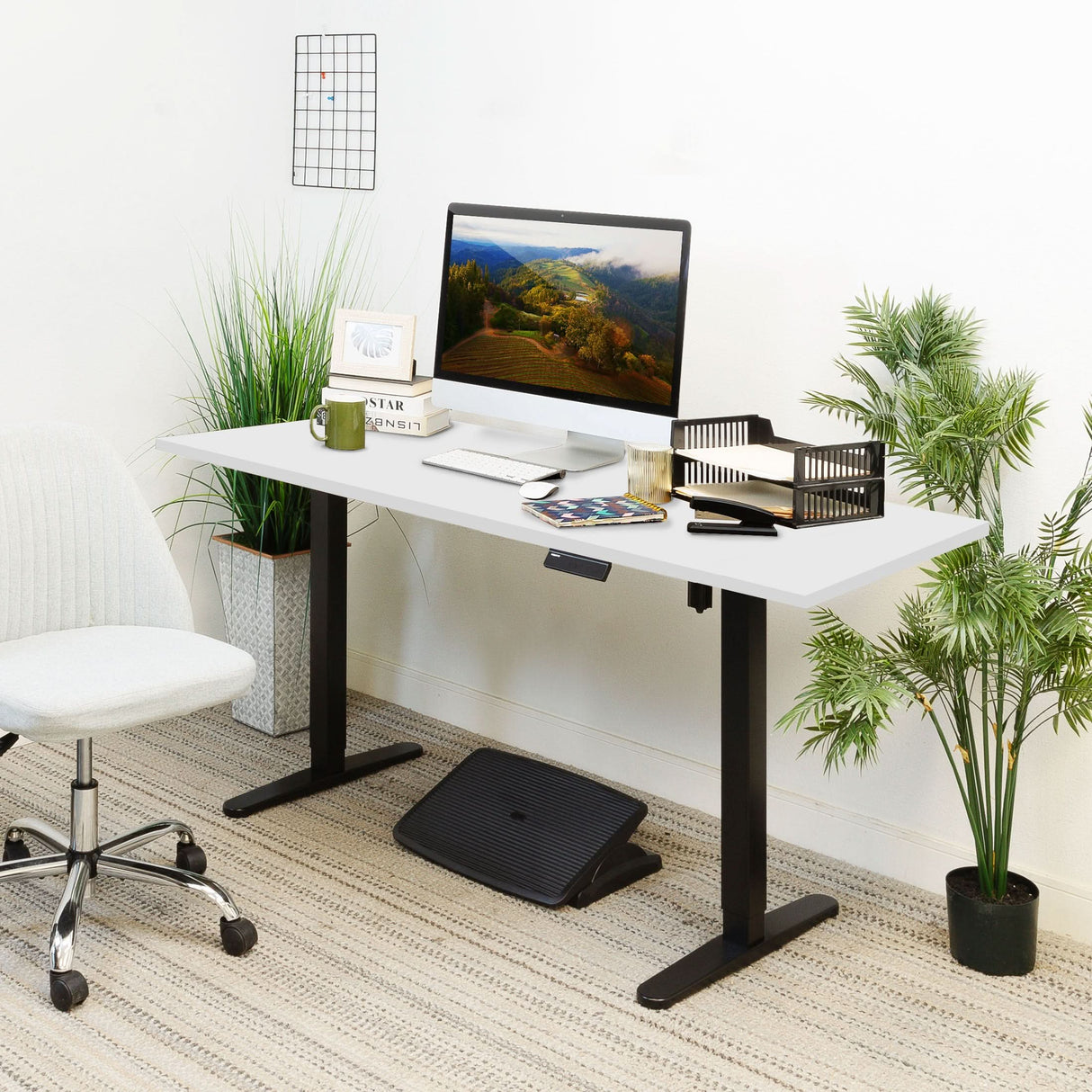 Electric Standing Desk with 55" Tabletop - Black Base