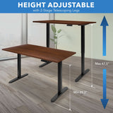 Electric Standing Desk with 55" Tabletop - Black Base