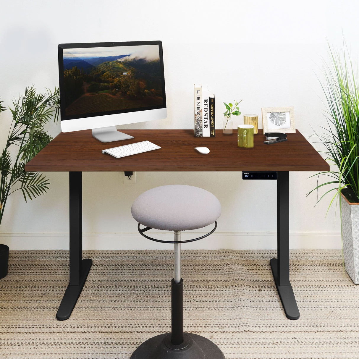 Electric Standing Desk with 55" Tabletop - Black Base