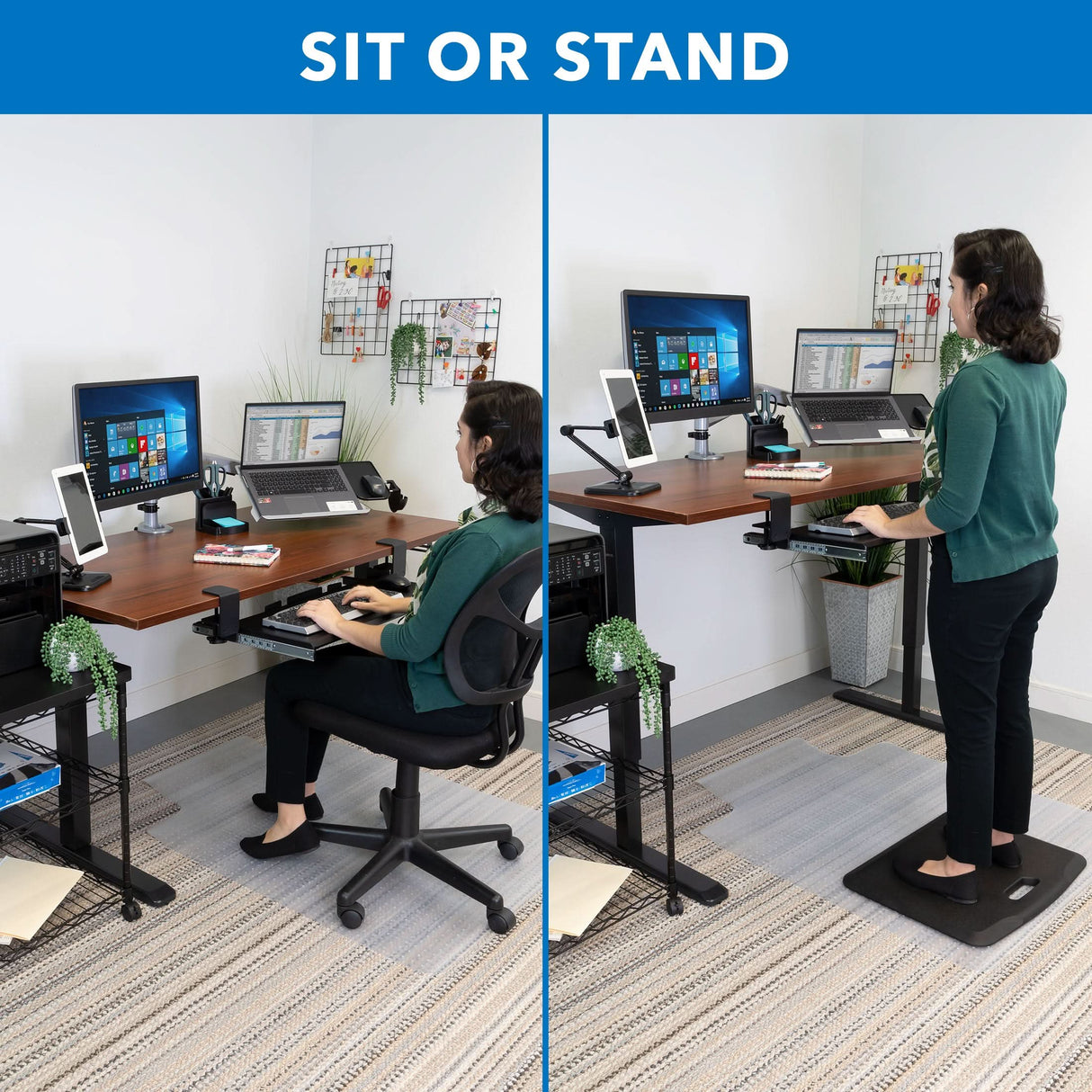 Hand Crank Standing Desk with 55" Tabletop - Black Base