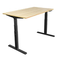 Ultimate Dual Motor Electric Standing Desk with 55" Tabletop - Black Base