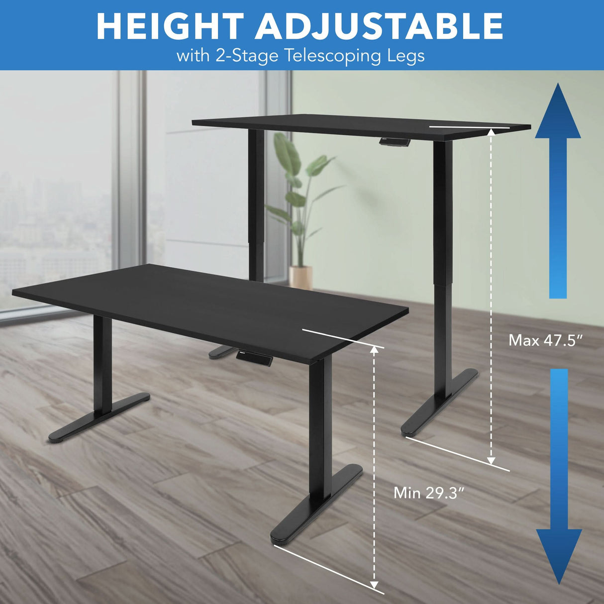 Electric Standing Desk with 55" Tabletop - Black Base