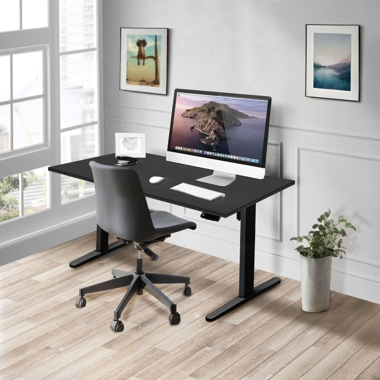 Electric Standing Desk with 55" Tabletop - Black Base