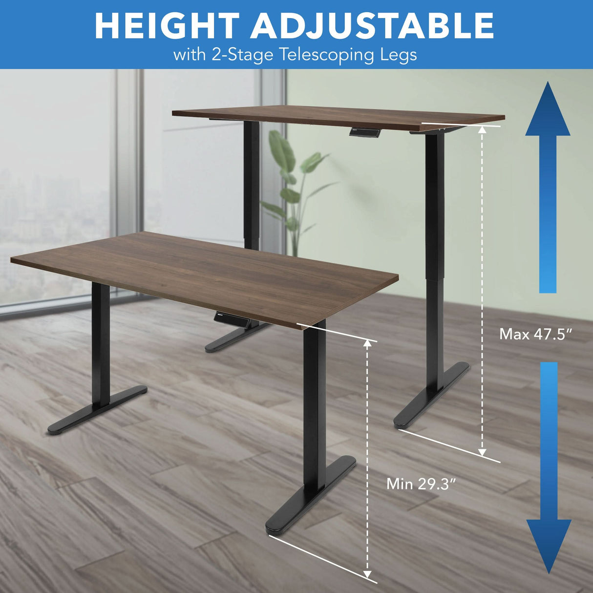 Electric Standing Desk with 55" Tabletop - Black Base