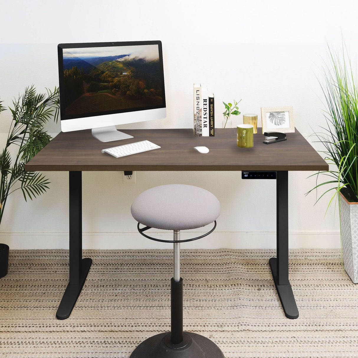 Electric Standing Desk with 55" Tabletop - Black Base