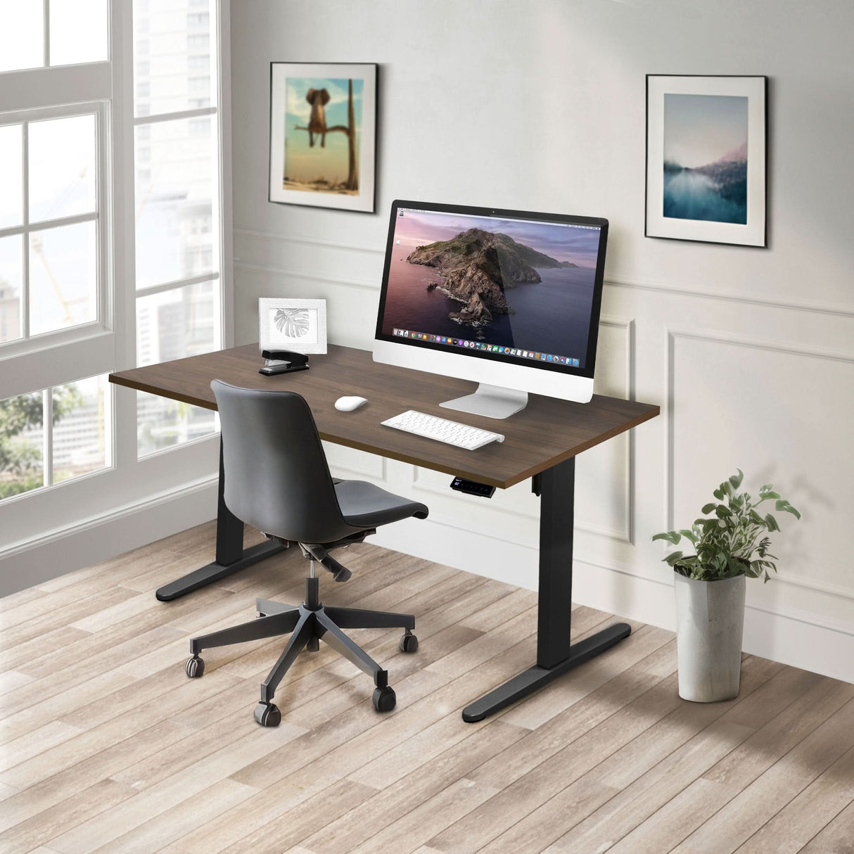 Electric Standing Desk with 55" Tabletop - Black Base