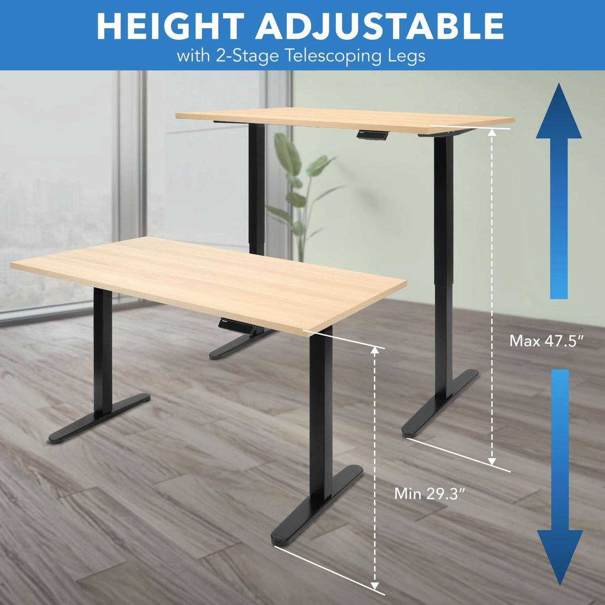 Electric Standing Desk with 55" Tabletop - Black Base