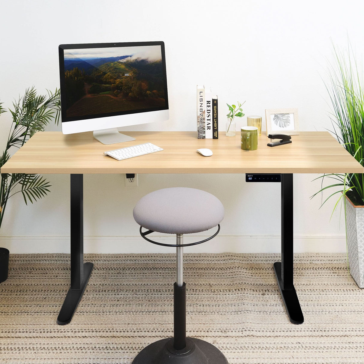 Electric Standing Desk with 55" Tabletop - Black Base