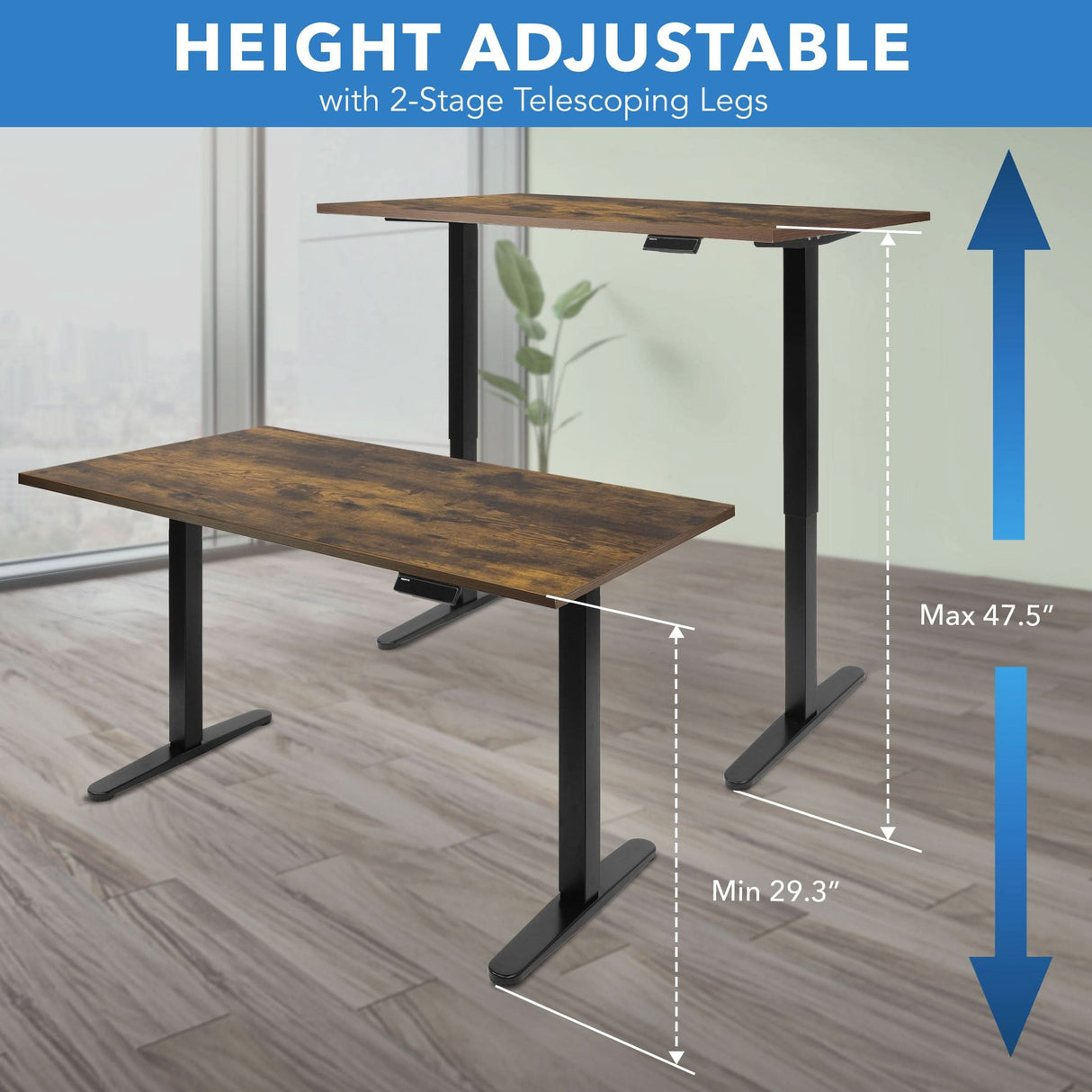 Electric Standing Desk with 55" Tabletop - Black Base