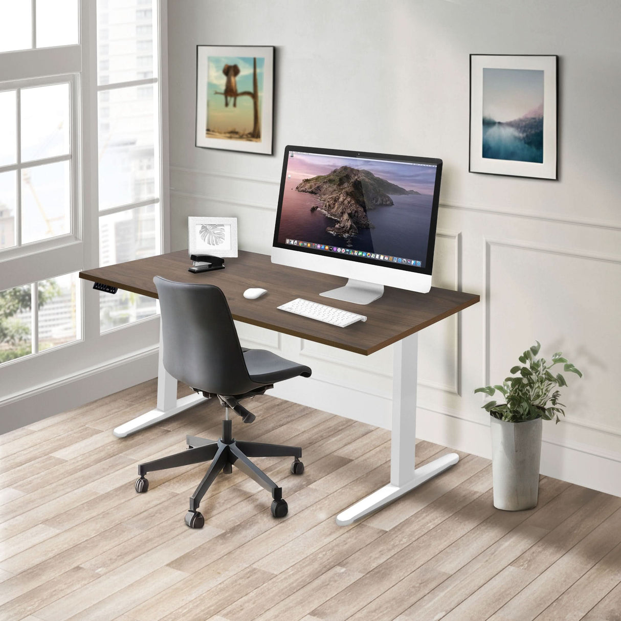 Dual Motor Electric Standing Desk with 55" Tabletop - White Base