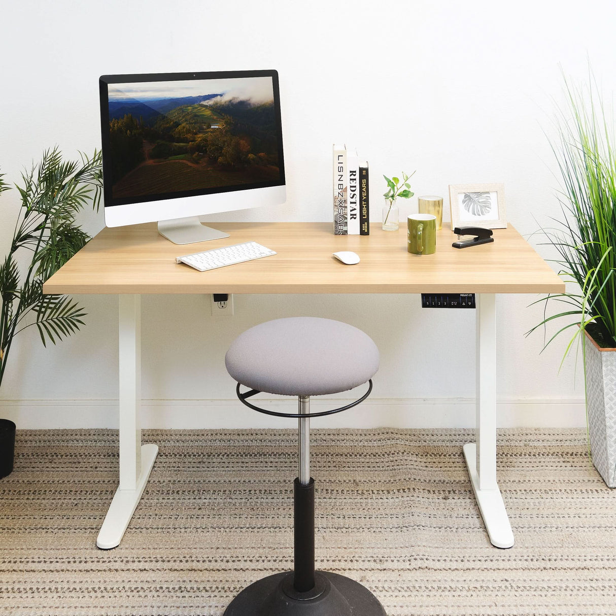 Dual Motor Electric Standing Desk with 55" Tabletop - White Base