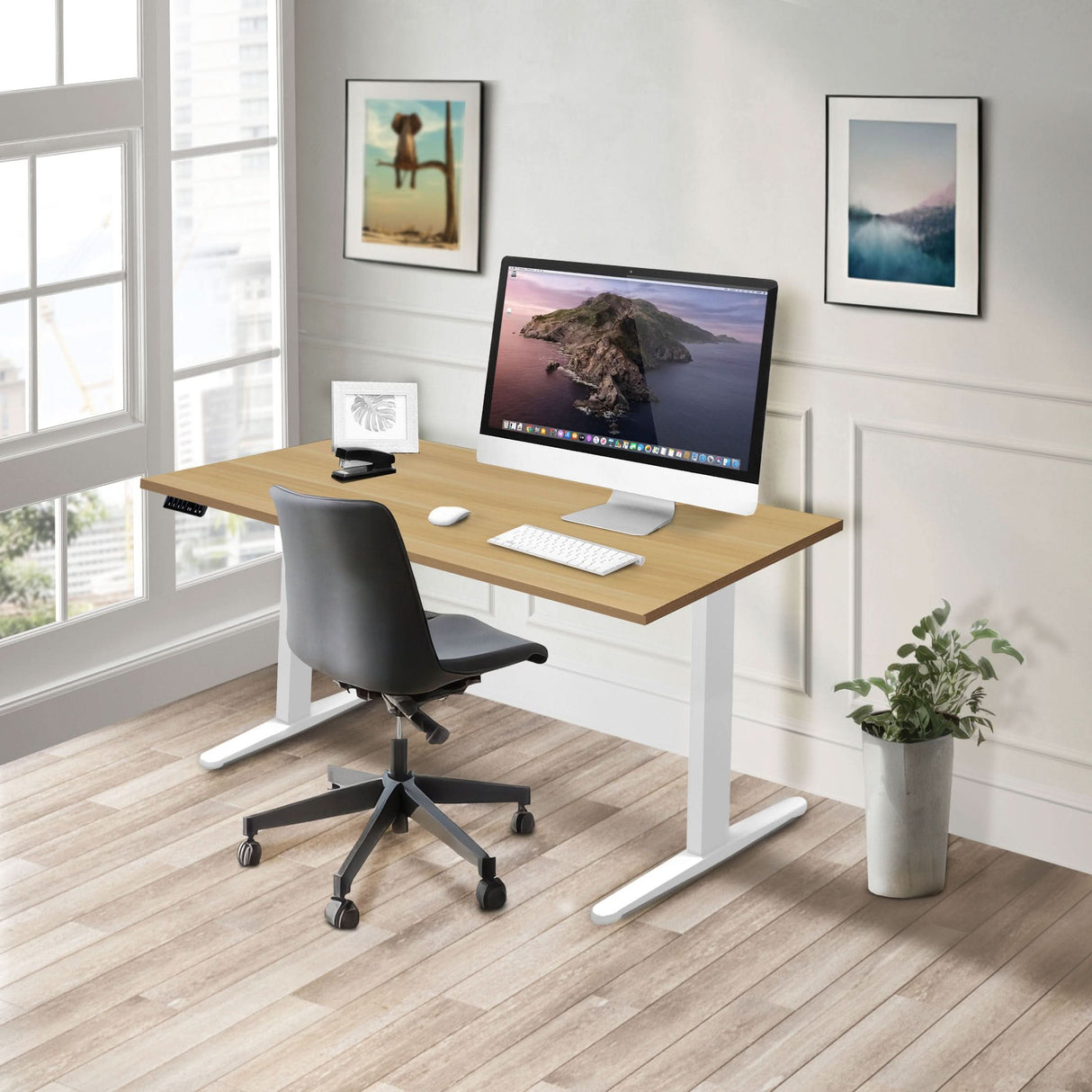 Dual Motor Electric Standing Desk with 55" Tabletop - White Base