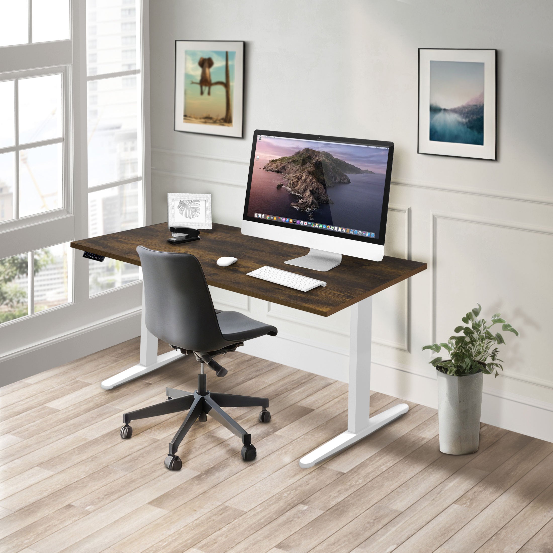 Dual Motor Electric Standing Desk with 55" Tabletop