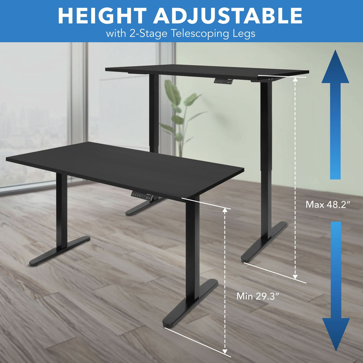 Dual Motor Electric Standing Desk with 55" Tabletop - Black Base