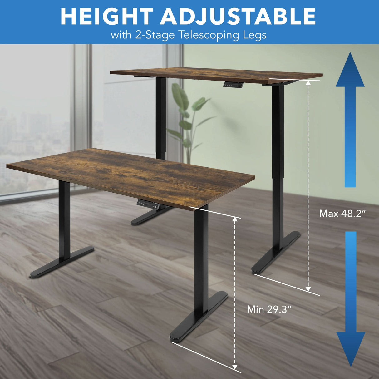 Dual Motor Electric Standing Desk with 55" Tabletop - Black Base