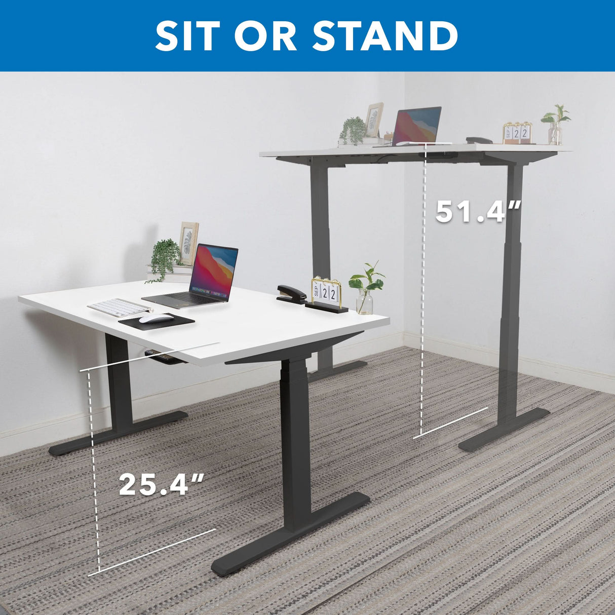 Ultimate Dual Motor Electric Standing Desk with 55" Tabletop - Black Base