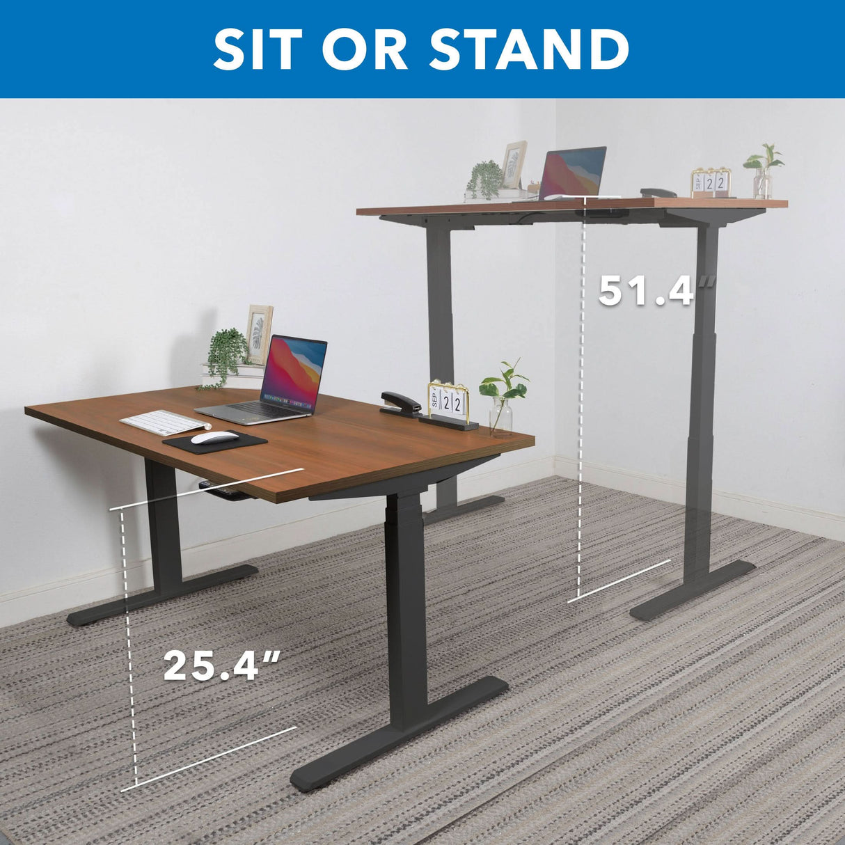 Ultimate Dual Motor Electric Standing Desk with 55" Tabletop - Black Base