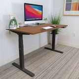 Ultimate Dual Motor Electric Standing Desk with 55" Tabletop - Black Base