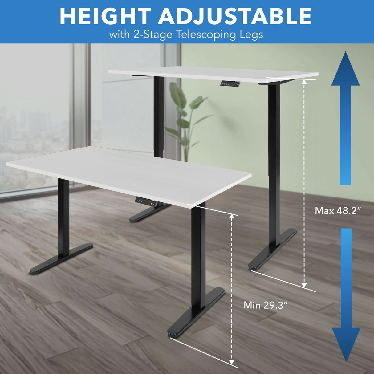 Dual Motor Electric Standing Desk with 55" Tabletop - Black Base