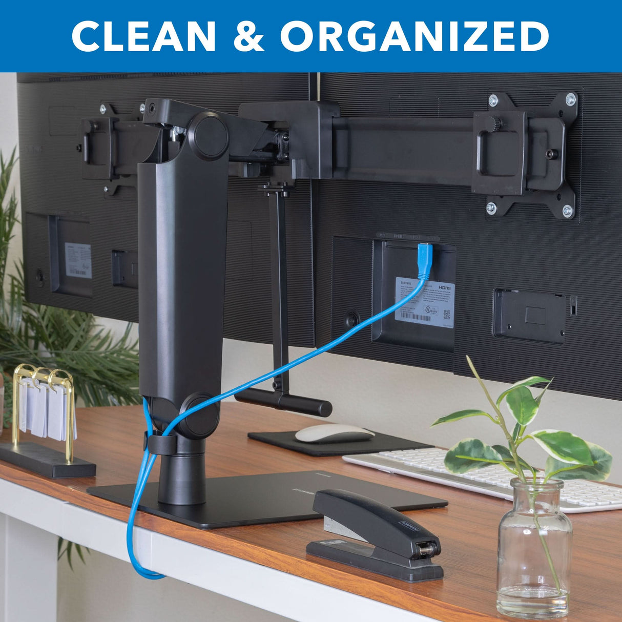 Freestanding Dual Monitor Arm With Height Adjustment