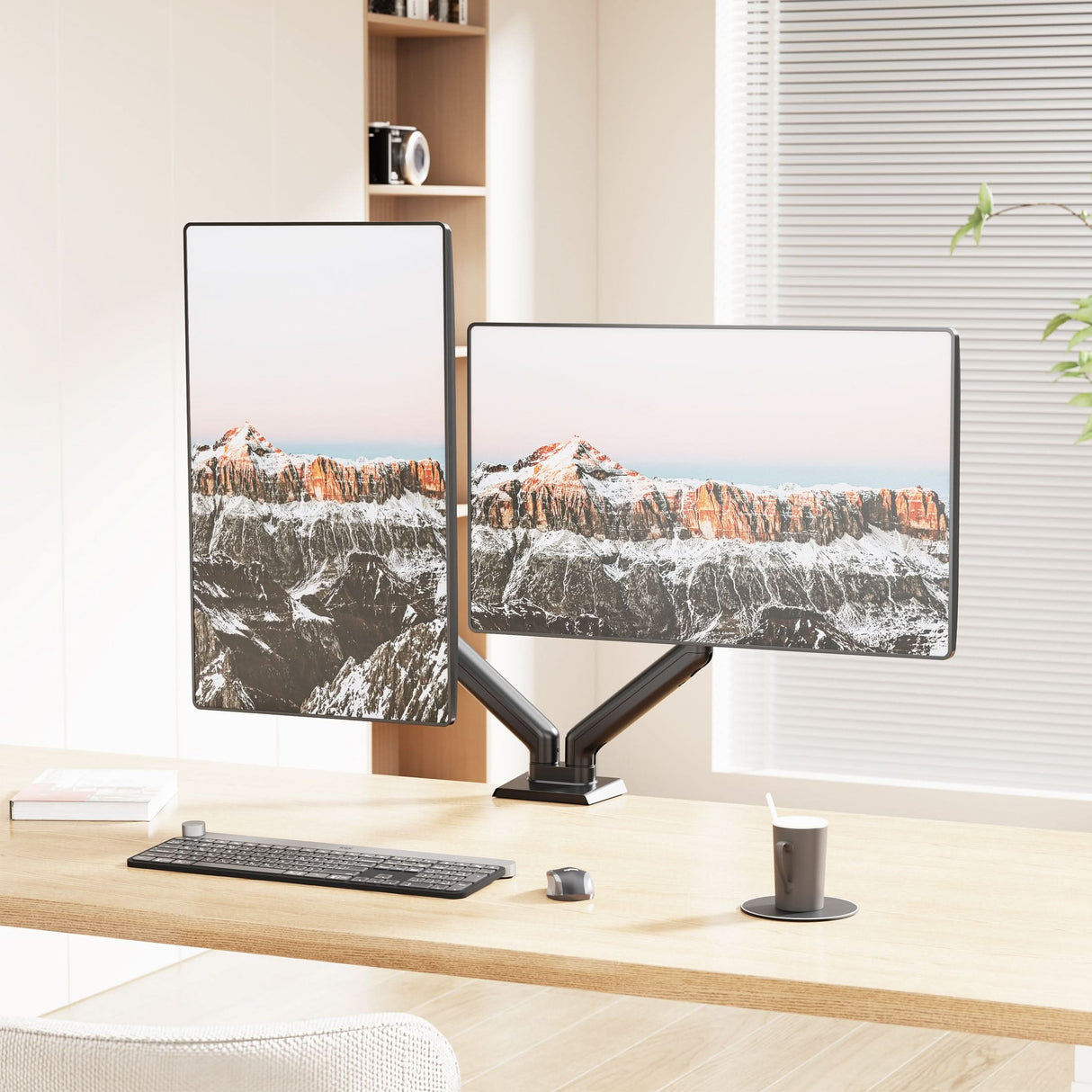 Dual Monitor Mount with Spring Arms