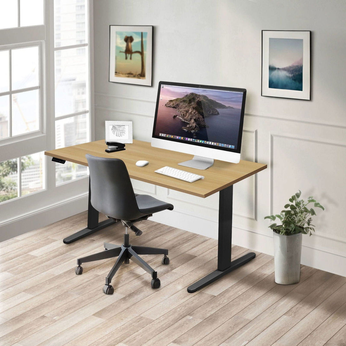 Standing Desk - Dual Motor Electric Standing Desk with 55" Tabletop - Black Base - Mount-It! -