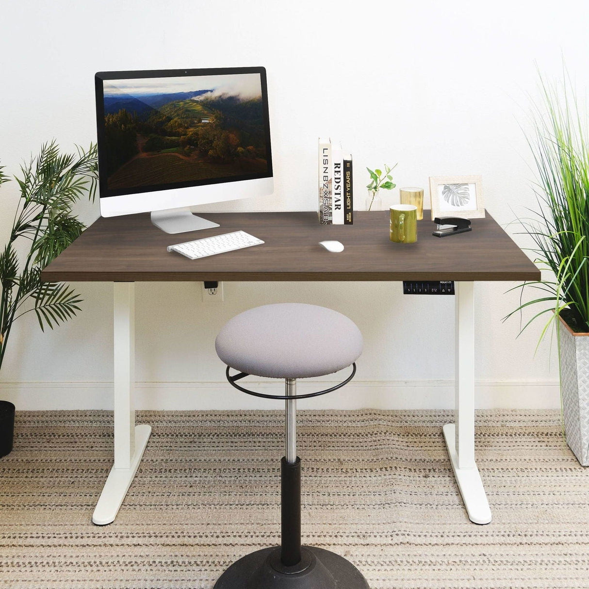 Standing Desk - Dual Motor Electric Standing Desk with 55" Tabletop - White Base - Mount-It! -