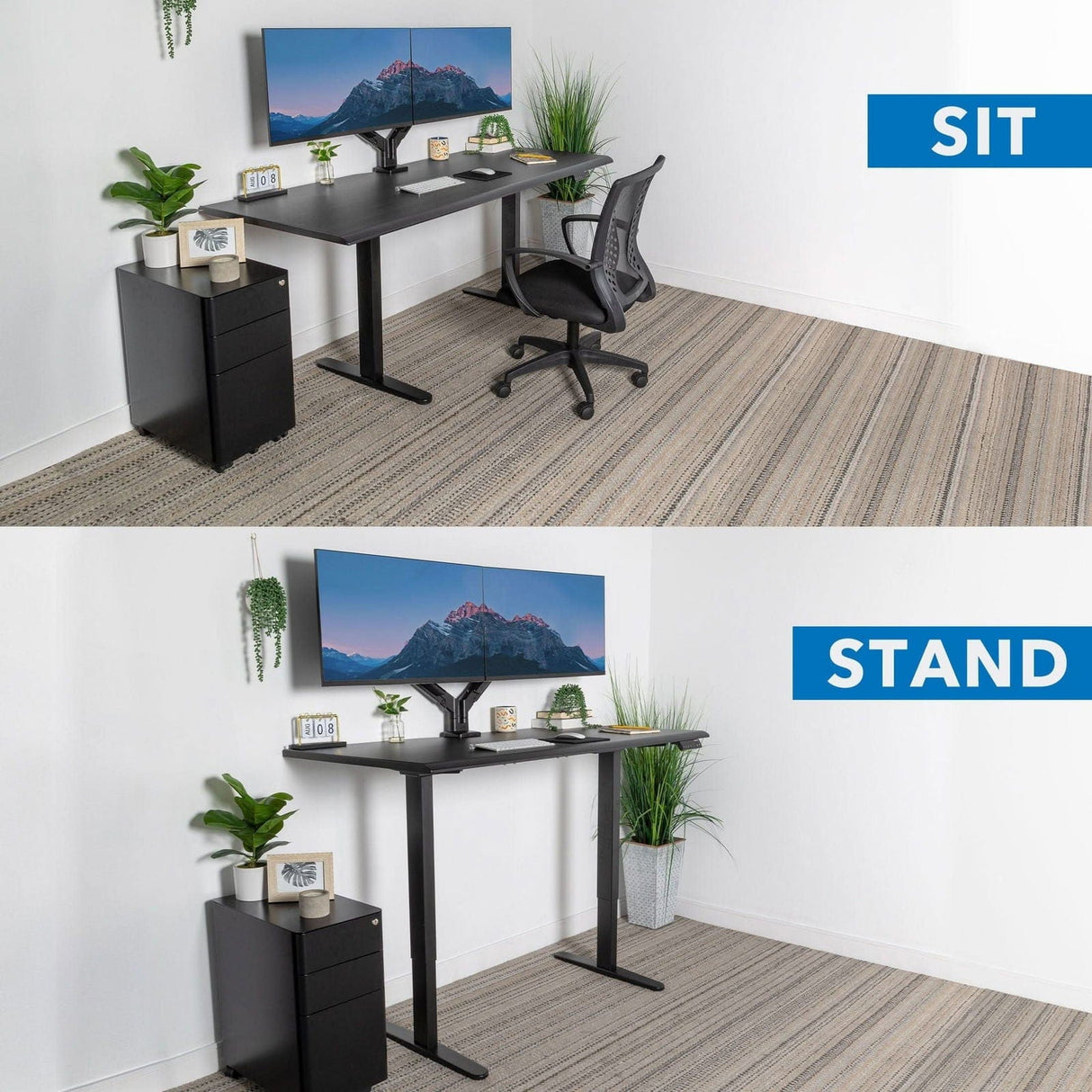 Standing Desk - Dual Motor Electric Standing Desk with 72" Tabletop - Black Base - Mount-It! -