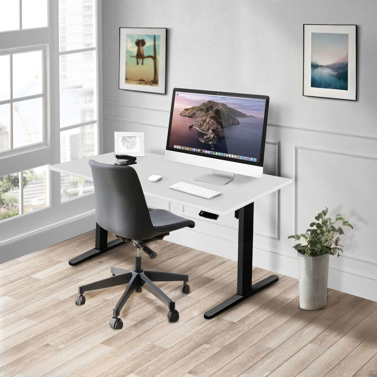 Standing Desk - Electric Standing Desk with 55" Tabletop - Black Base - Mount-It! -