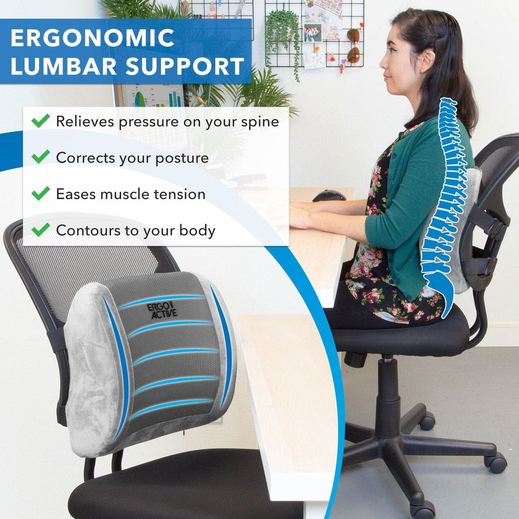ErgoActive Lumbar Support Pillow MI 1013 Mount It