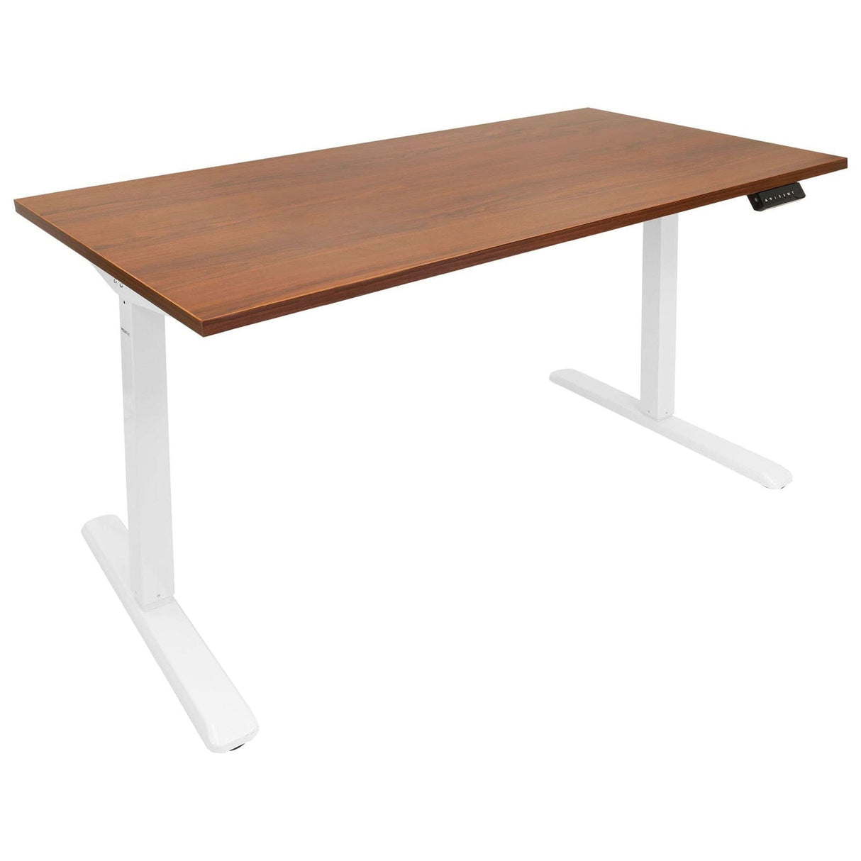 Hazelnut Standing Desk - Electric Standing Desk with 55" Tabletop - White Base - Mount-It! - MI-18062