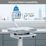 - MedHub Mobile Workstation with Tablet Arm - Mount-It! - MI-16018