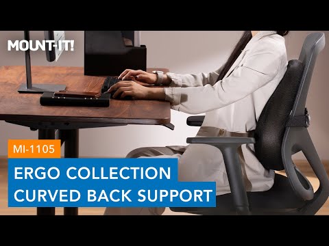 Ergo Collection Curved Back Support