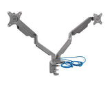 Silver Monitor Mount - Dual Monitor Desk Mount w/ USB Ports - Mount-It! - MI-2762