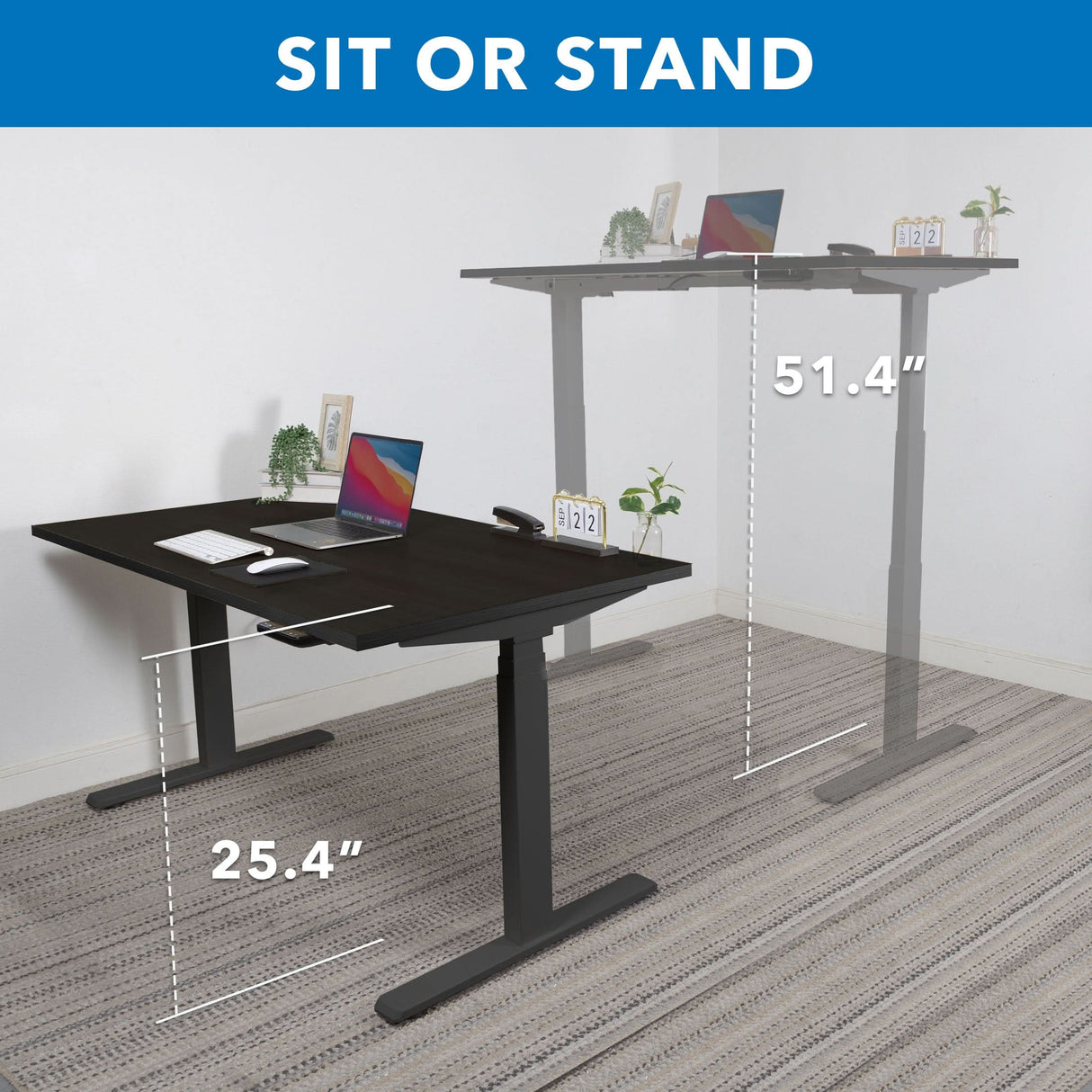 Standing Desk - Ultimate Dual Motor Electric Standing Desk with 55" Tabletop - Black Base - Mount-It! -