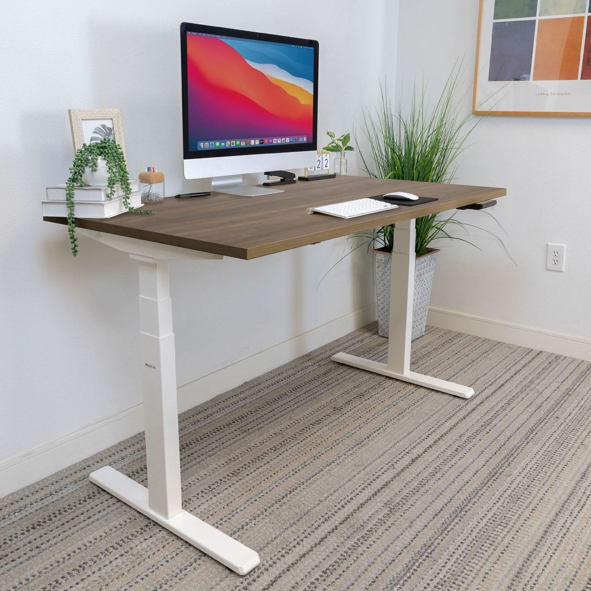 Standing Desk - Ultimate Dual Motor Electric Standing Desk with 55" Tabletop - White Base - Mount-It! -