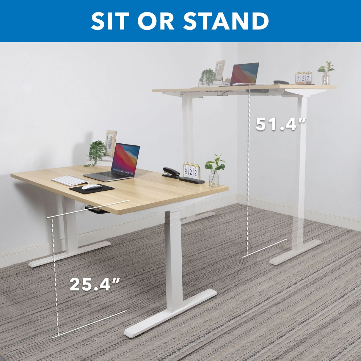 Standing Desk - Ultimate Dual Motor Electric Standing Desk with 55" Tabletop - White Base - Mount-It! -