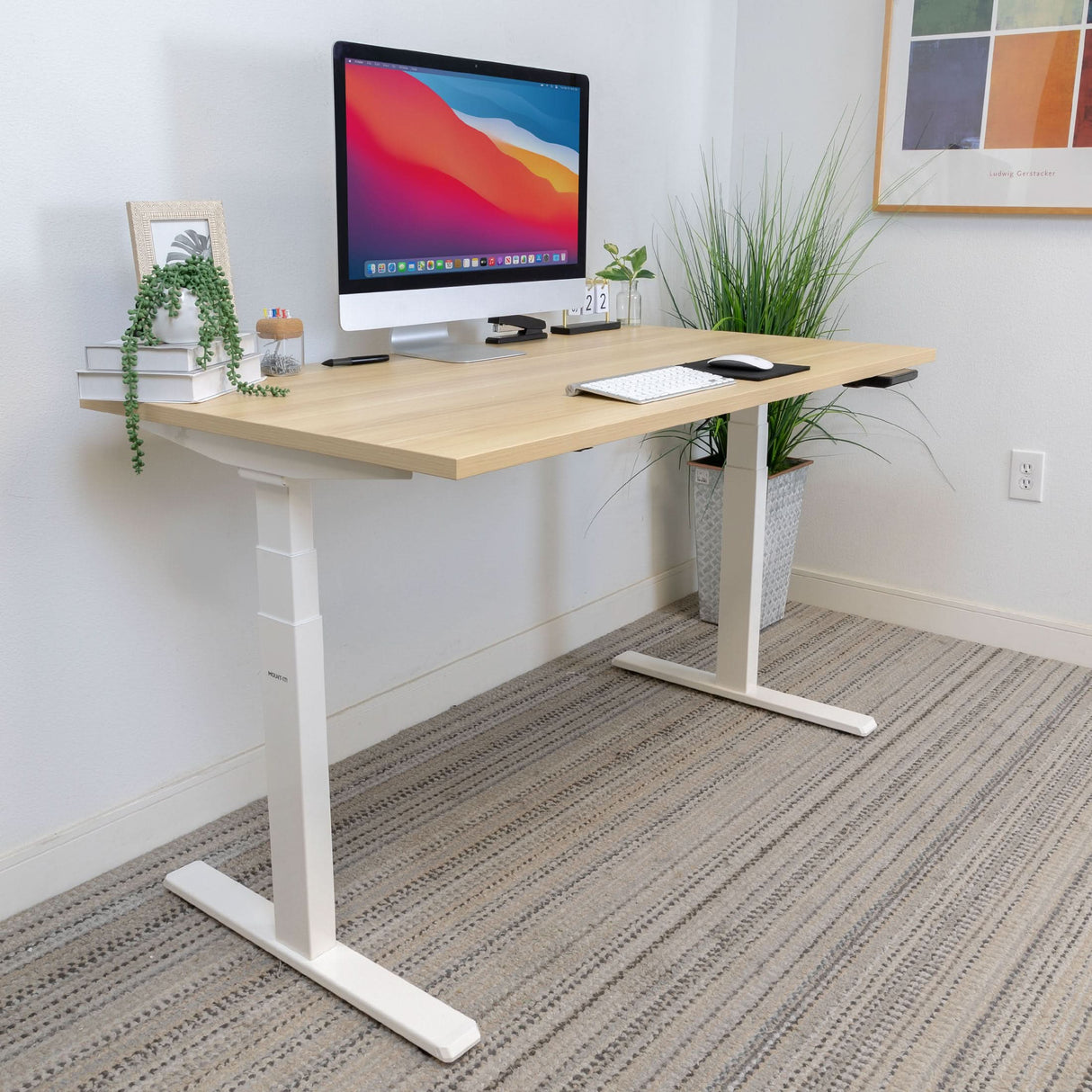 Standing Desk - Ultimate Dual Motor Electric Standing Desk with 55" Tabletop - White Base - Mount-It! -