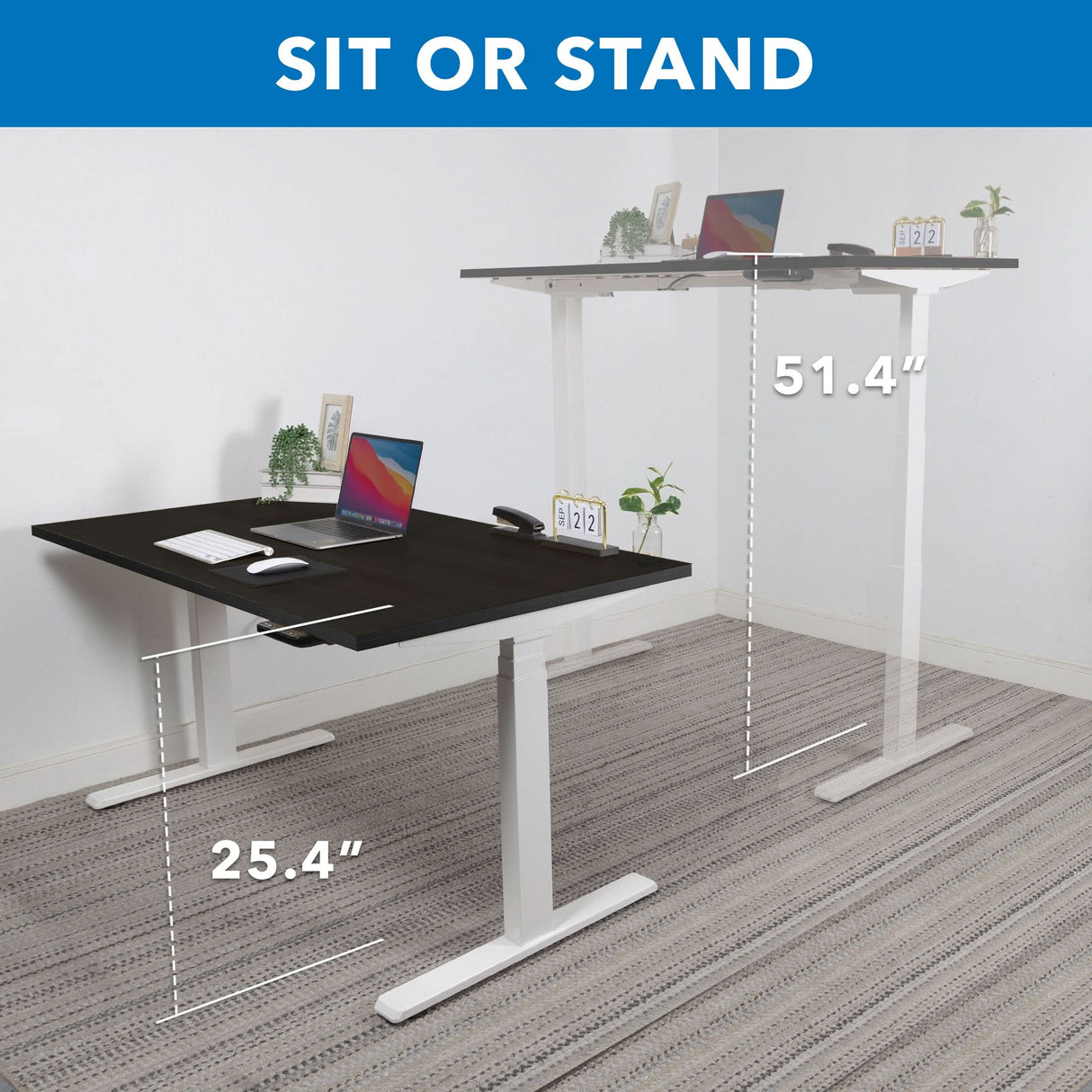 Standing Desk - Ultimate Dual Motor Electric Standing Desk with 55" Tabletop - White Base - Mount-It! -