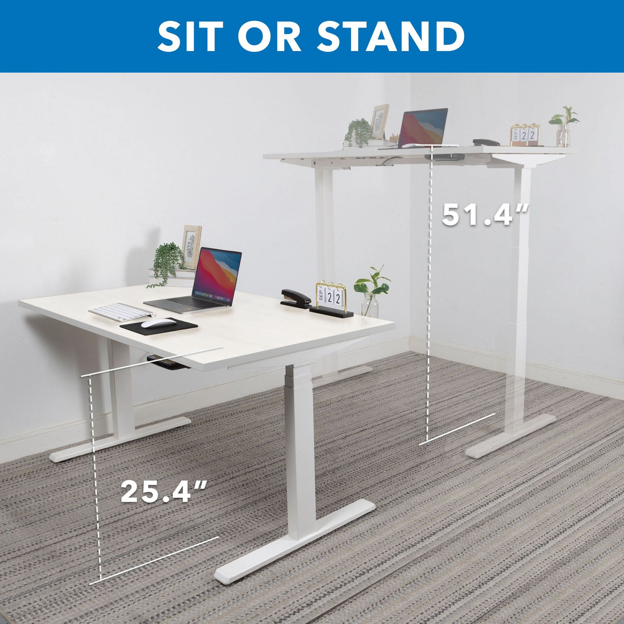 Standing Desk - Ultimate Dual Motor Electric Standing Desk with 55" Tabletop - White Base - Mount-It! -