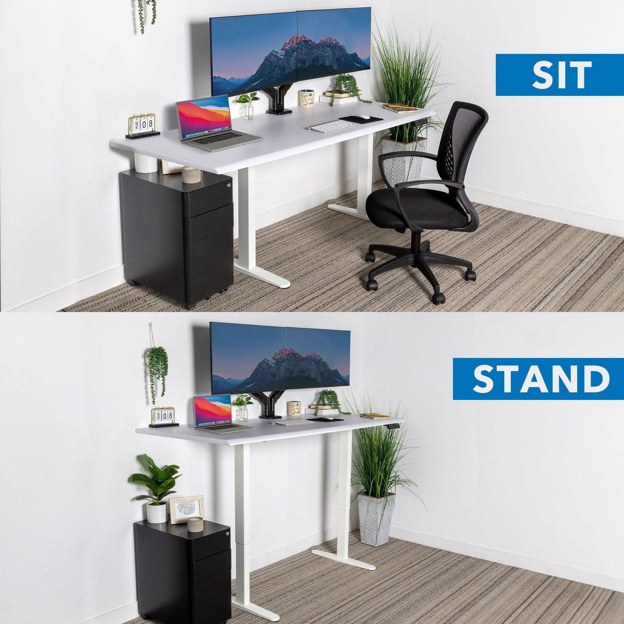 White Standing Desk - Dual Motor Electric Standing Desk with 72" Tabletop - White Base - Mount-It! - MI-18124