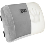 ErgoActive Lumbar Support Pillow