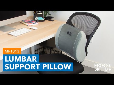 ErgoActive Lumbar Support Pillow