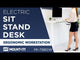 Electric Sit-Stand Desk Frame